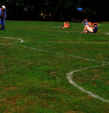 Gras Grafitti 2