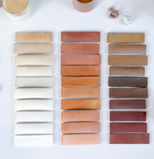Color Palette