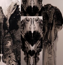 Helena Kanaan, Fotolithographie