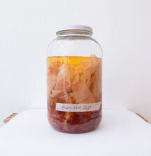 Ferments_4