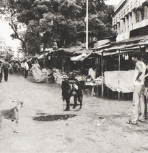 Josh Zielinsky 2011 Photogravur k.jpg