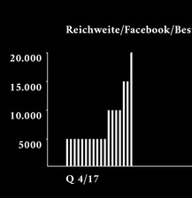 Visuelle und Redaktionelle Strategien in den sozialen Medien