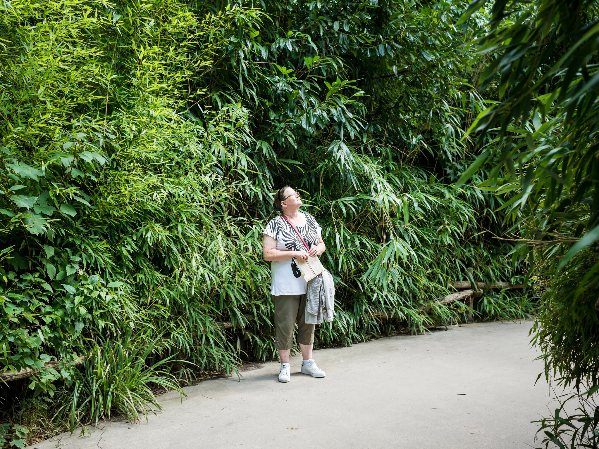 Natur. Fotografie und Objekte