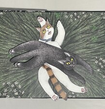 Night Tails