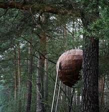 Bark dome_outside, MPI-CI, Alexander Magerl