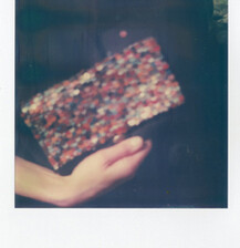 polaroidpia021_72.jpg