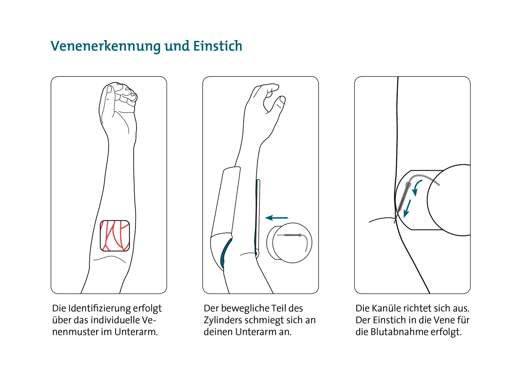 02 Venenerkennung und Einstich