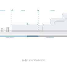 Laufbahn Palliativpatient