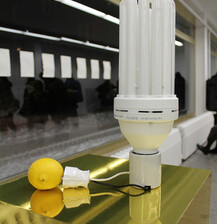 Ausstellungsansicht