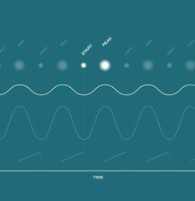 Visualization of the vibration