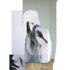 Johanna Liebl DIna Kemmerling