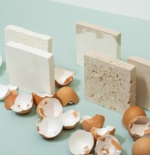 Eggshell - Olga Kuschchyk