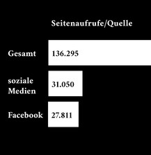 Visuelle und Redaktionelle Strategien in den sozialen Medien