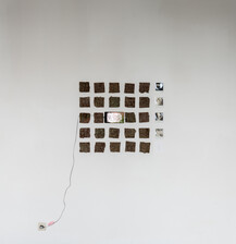 That Awkward Moment When You Try to Connect with Nature, Merel Maan