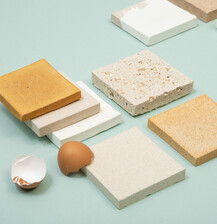 Eggshell_4