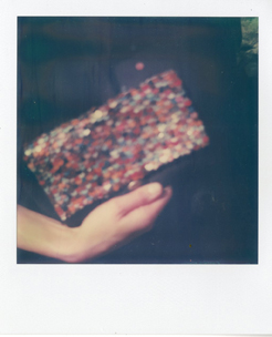 polaroidpia021_72.jpg