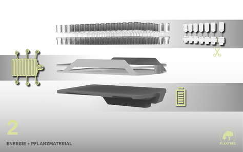 Energie und Pflanzmaterial